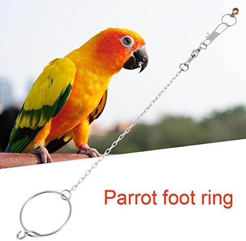 Rozsdamentes Acél Bokalánc Pet Papagáj Madár Lábát Lánc + Gyűrű Játékok Pet Papagáj Madár Ezüst(5,5 mm)